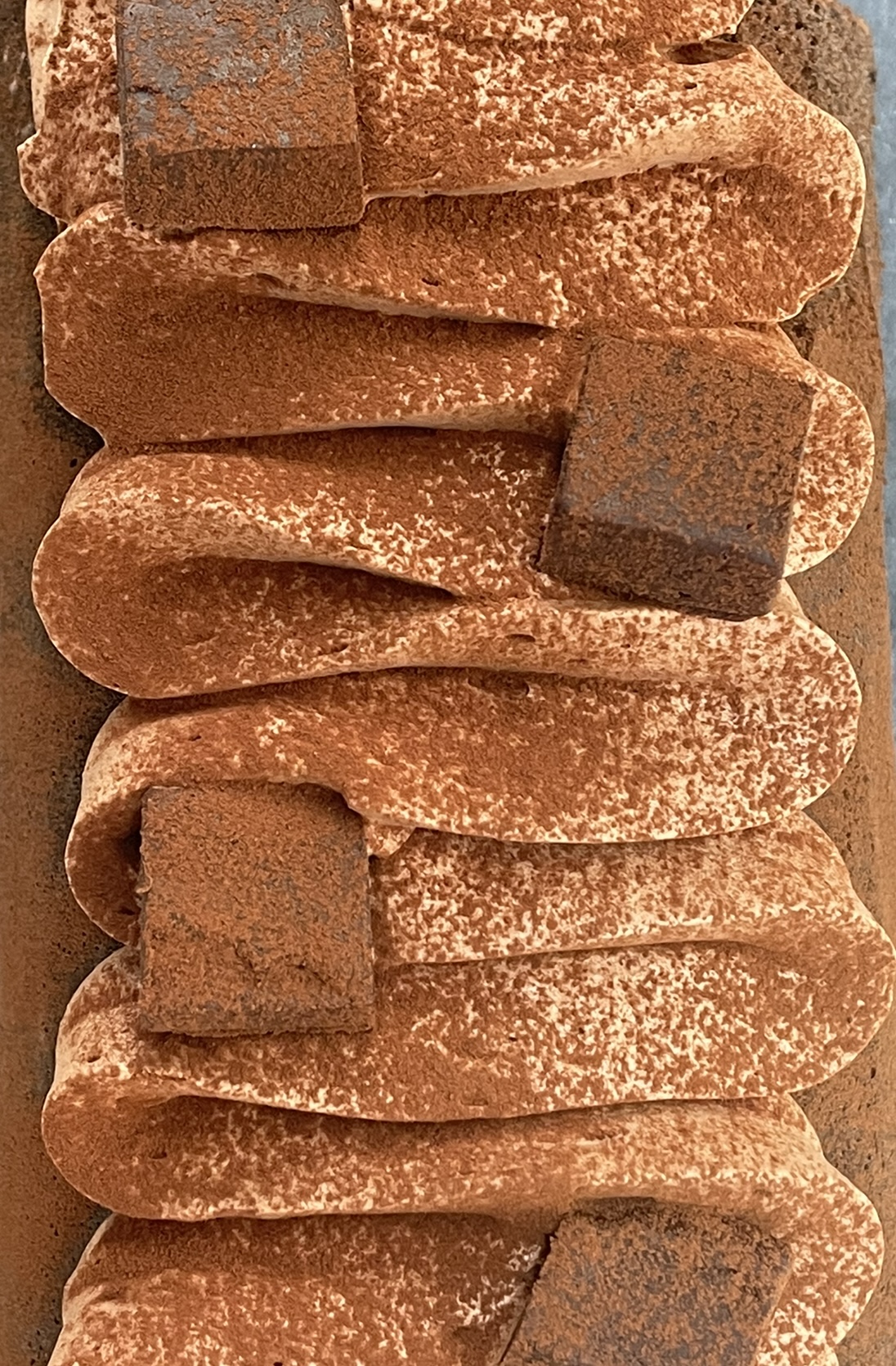 Fresh Roll Cake | 神戸みなと シフォン